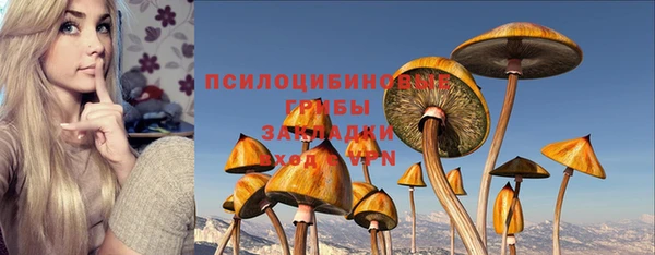 не бодяженный Алексин