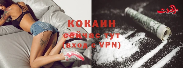 не бодяженный Алексин